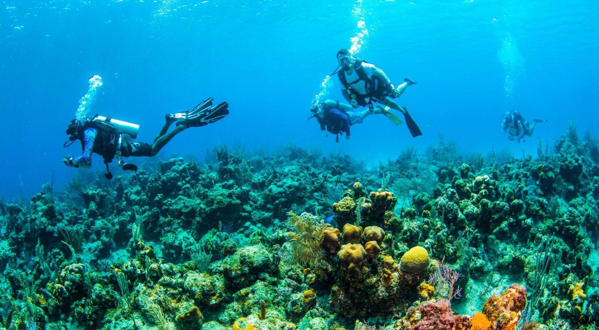 Blue Roatan Resort Уест Бей Екстериор снимка